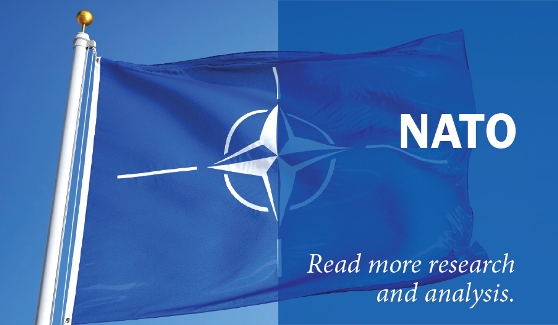 John Manza Gives NATO an “F” in Projecting Stability