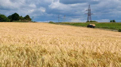 Field in Ukraine