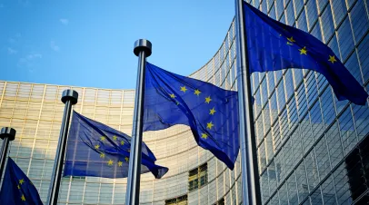 Row of EU flags