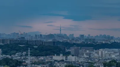 Japanese city skyline